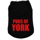 PUGS OF YORK BLACK