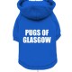 PUGS OF GLASGOW BLUE