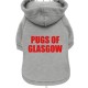 PUGS OF GLASGOW GREY