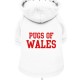 PUGS OF WALES WHITE