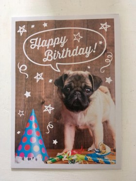 Pug Puppy Birthday Card