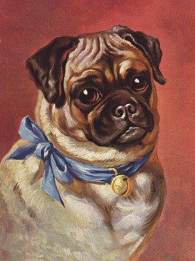 Stunning Vintage Pug Blank Card