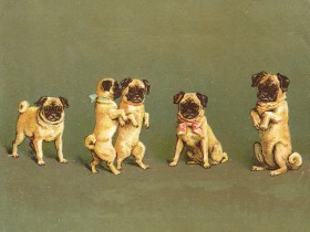 Lovely Vintage Pug Blank Card