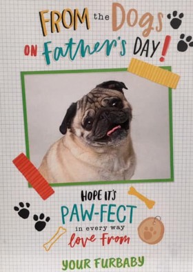 Cute From Your Furbaby Pug Fathers Day Card