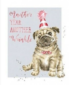 Sweet Pug Birthday Card