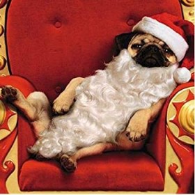 Cute  Pug Christmas Card